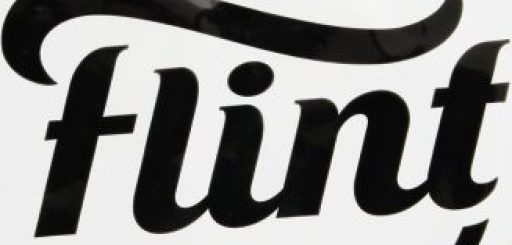 FlintChips